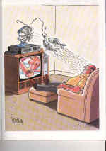 TVSex.jpg (114145 bytes)